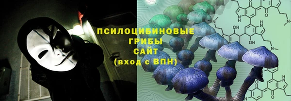 эйфоретик Алексеевка