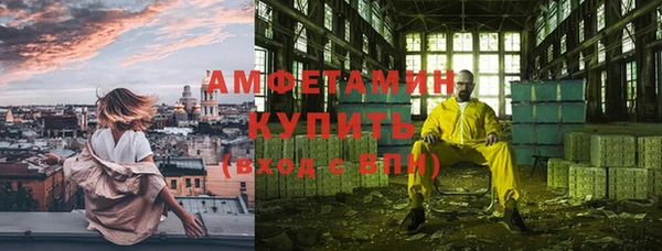 стаф Алзамай