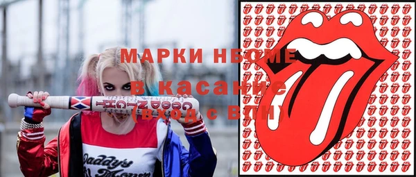 стаф Алзамай