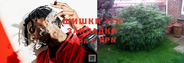 стаф Алзамай