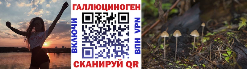 Псилоцибиновые грибы Cubensis  где найти наркотики  shop состав  Урай 